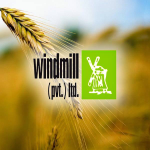 Windmill Pvt Ltd