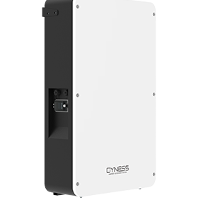 Dyness 10.24kwh Pro Box Battery