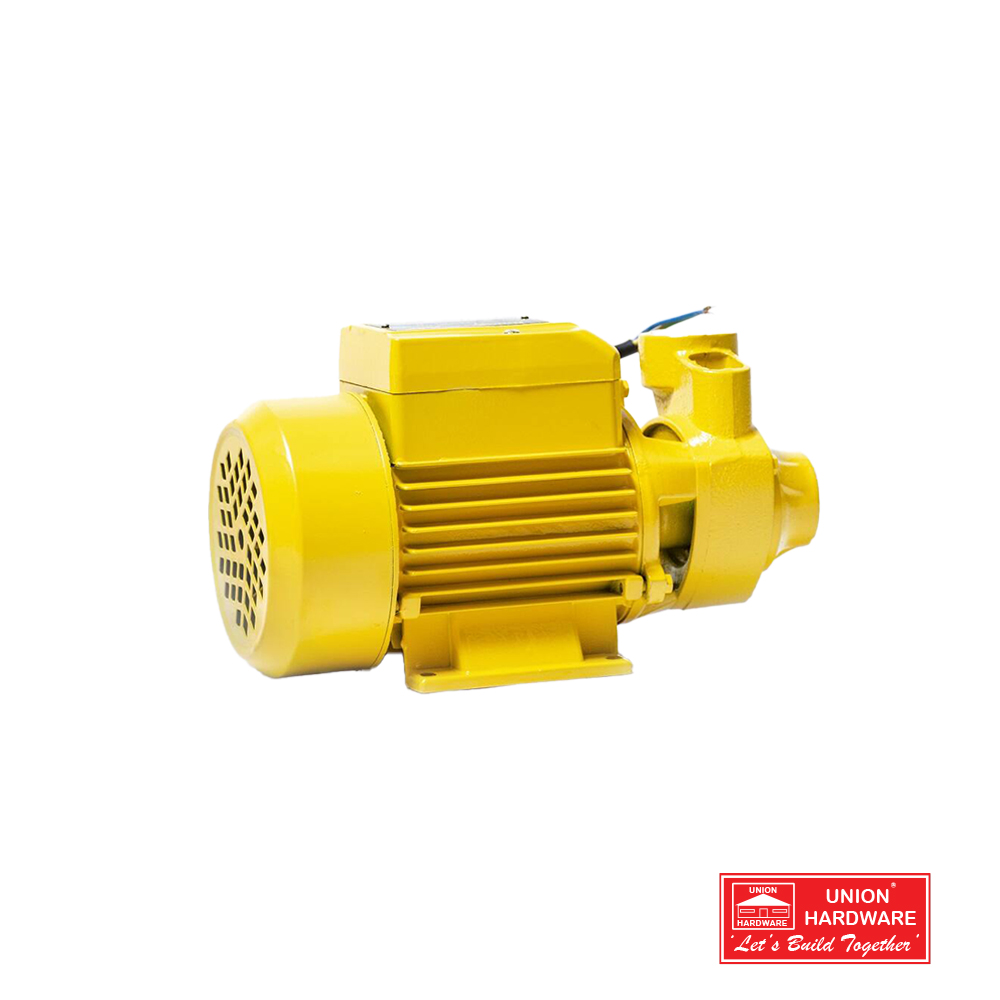 FXTLFGPB0060 - FORGE SURFACE BOOSTER PUMP (PKM60) 0.5HP